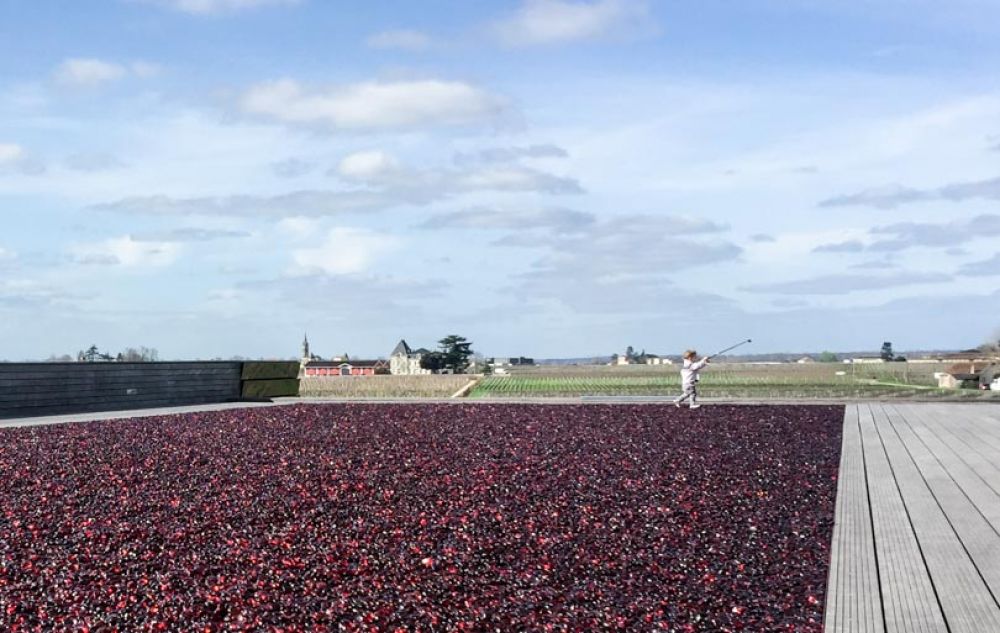 visiter Bordeaux en famille